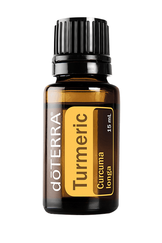 Turmeric - Curcuma longa